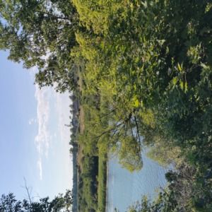 Meet your Posher, C-notes